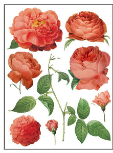 IOD Decorative Furniture Transfer Redoute’ II - Retiring - 16" x 12" Pad 8 Sheets Pink Roses Also for Craft Projects