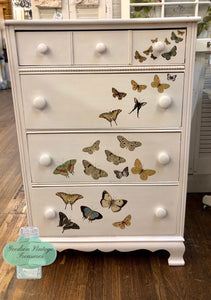 IOD Decorative Furniture Transfer Entomology Etcetera 12" x 16" - Butterflies Perfect for Crafting and Signs