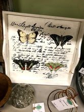 Load image into Gallery viewer, IOD Decorative Furniture Transfer Entomology Etcetera 12&quot; x 16&quot; - Butterflies Perfect for Crafting and Signs

