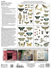 Load image into Gallery viewer, IOD Decorative Furniture Transfer Entomology Etcetera 12&quot; x 16&quot; - Butterflies Perfect for Crafting and Signs
