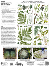 Load image into Gallery viewer, IOD Decorative Furniture Transfer Fronds Botanical 12 x 16 Pad  - Great for Crafts and Signs
