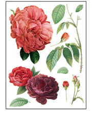 Load image into Gallery viewer, IOD Decorative Furniture Transfer Redoute’ II - Retiring - 16&quot; x 12&quot; Pad 8 Sheets Pink Roses Also for Craft Projects
