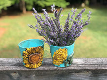 Load image into Gallery viewer, Sunflowers Clay Pot IOD Craft Kit Sunflower Mould, Air Dry Clay, and with 2 Clay Pots, Paints, Sealer, Brushes and Online Instruction Included
